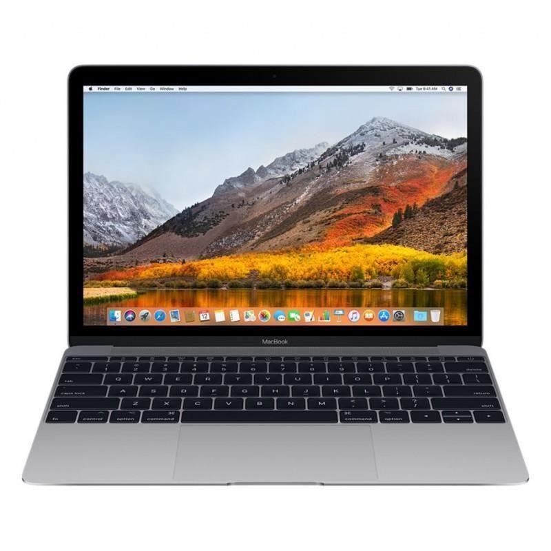 Apple MacBook 12" 2016 m3-6Y30 256GB 8GB Slim Portable Space Grey Laptop B